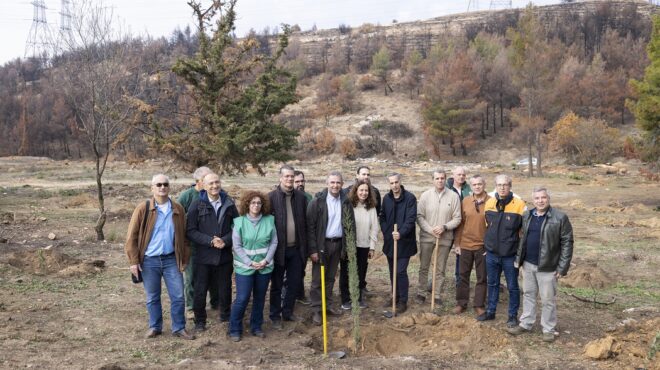 η-nova-ξεκίνησε-την-αναδάσωση-της-ιεράς-μο-563364154