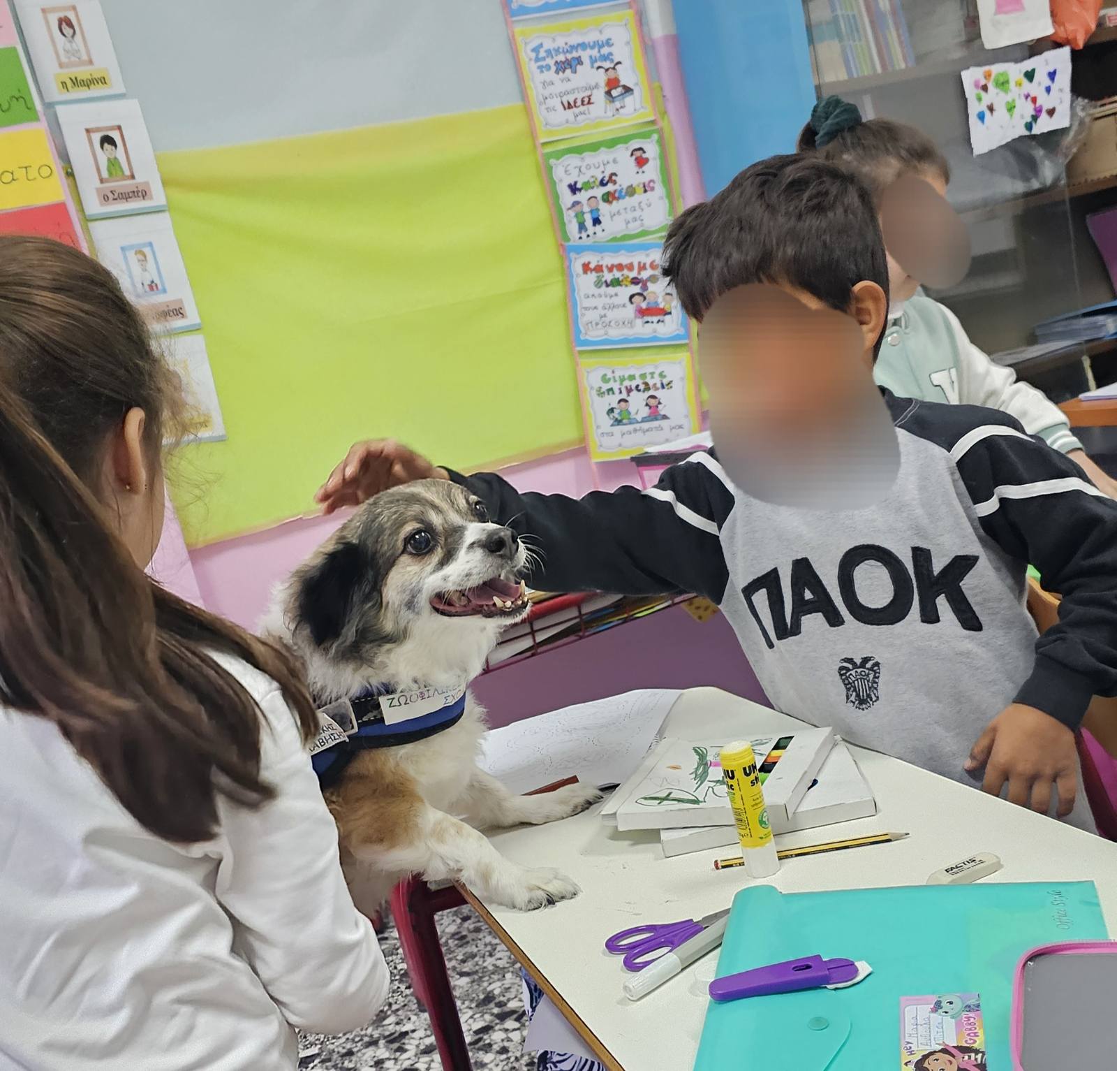 «Σήμερα θα δει τις ασκήσεις σας ο Αξελ» – Σκύλοι σε ρόλο εκπαιδευτικού διαμεσολαβητή-5