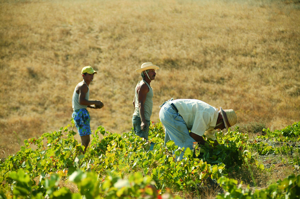 Κορυφαίες προσωπικότητες από όλο τον κόσμο έχουν μιλήσει για το κρασί στις σελίδες του Οινοχόου-1