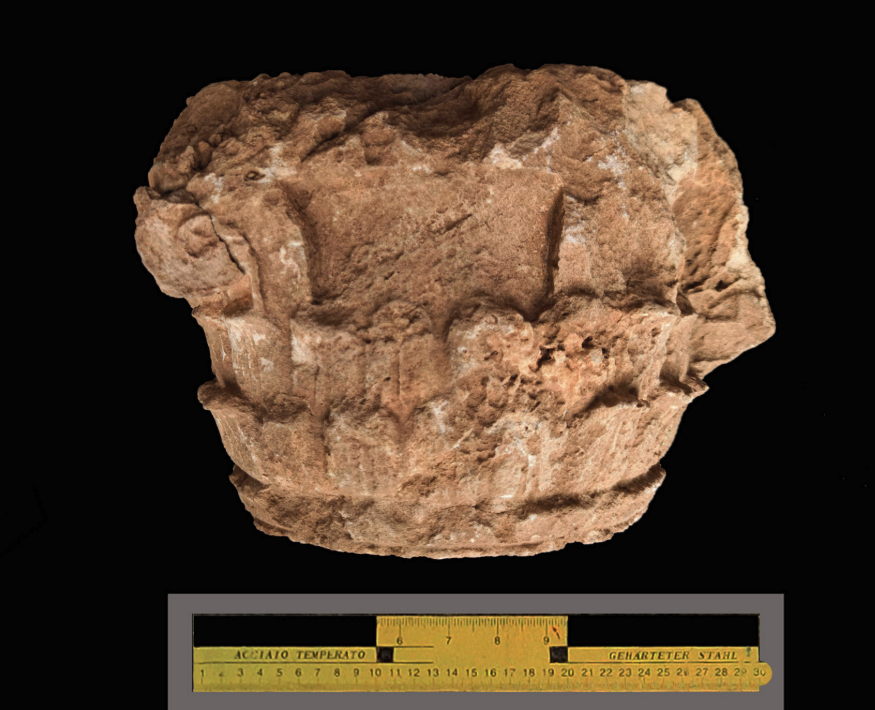 Εντυπωσιακά ευρήματα σε ανασκαφές κοντά στο Αίγιο (εικόνες)-4