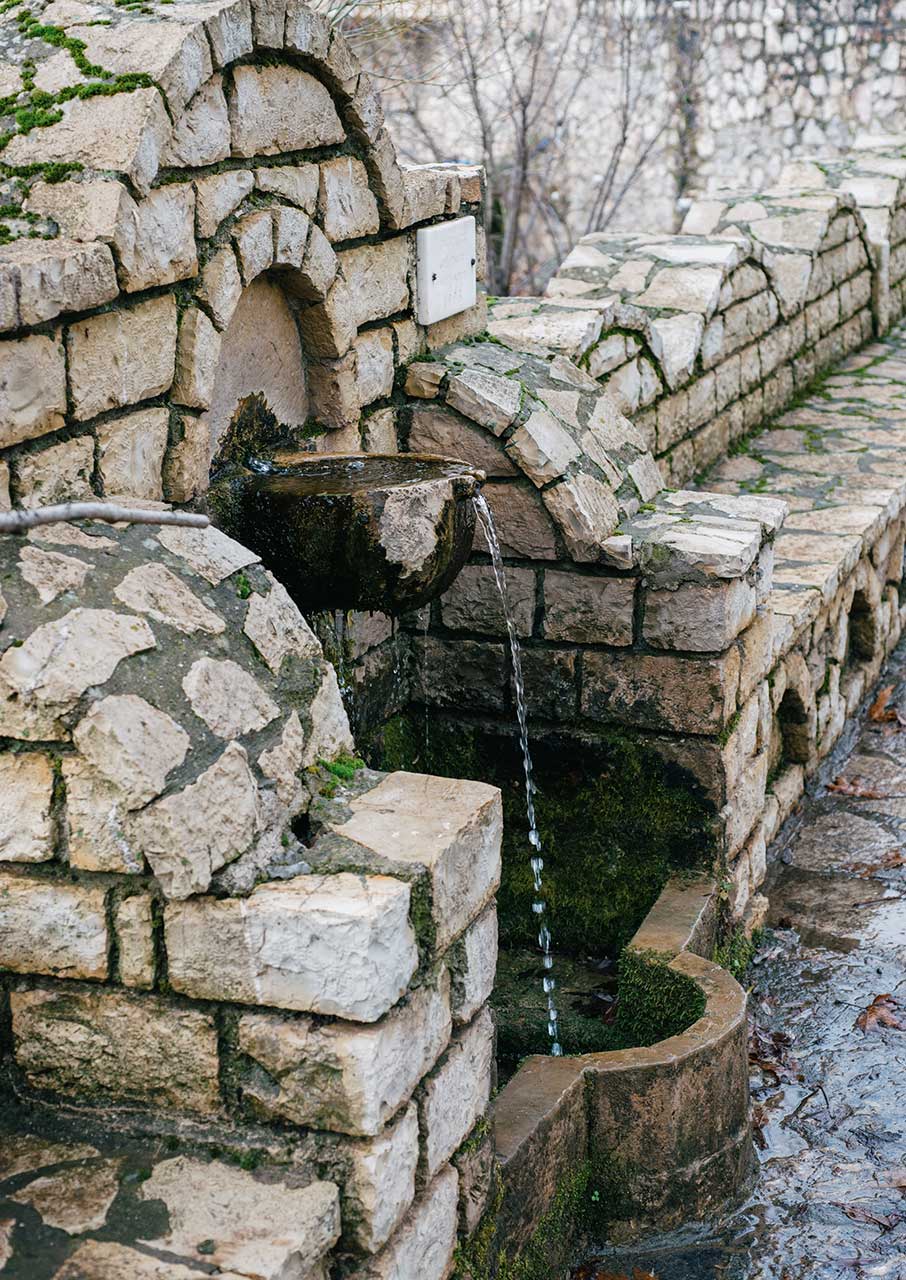Η Βάργιανη είναι η αντι-σταρ του Παρνασσού -3