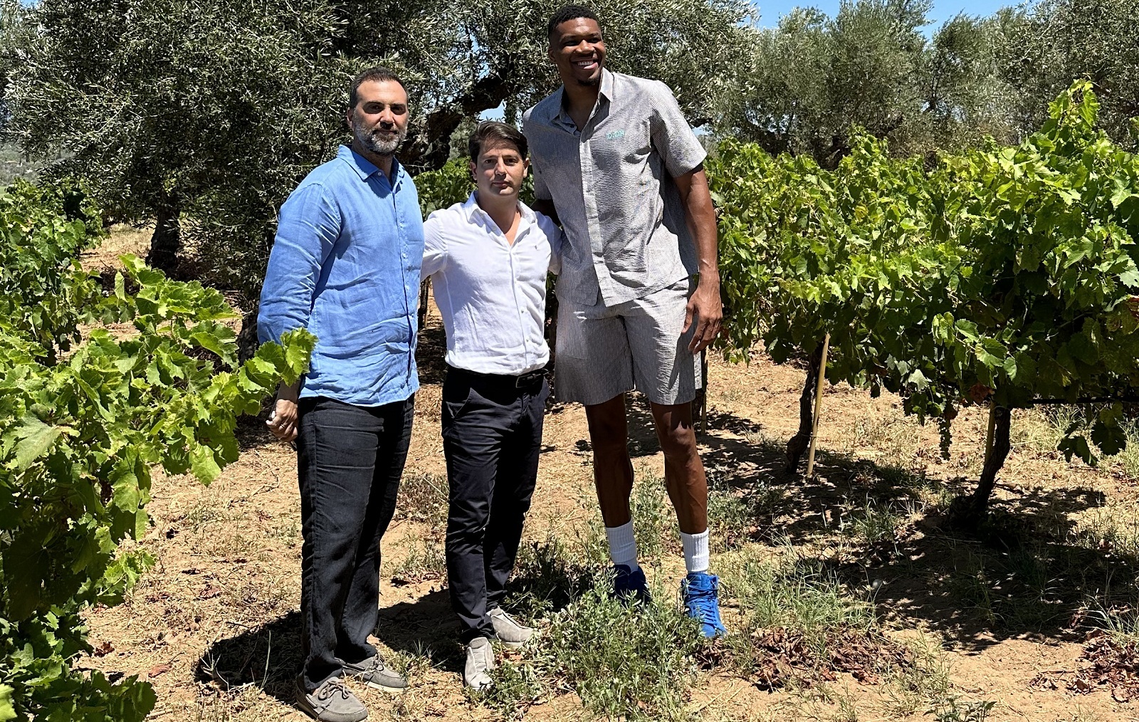 Premia και οικογένεια Αντετοκούνμπο αγόρασαν το Village Shopping & More στο Ρέντη – Τι σχεδιάζουν-1