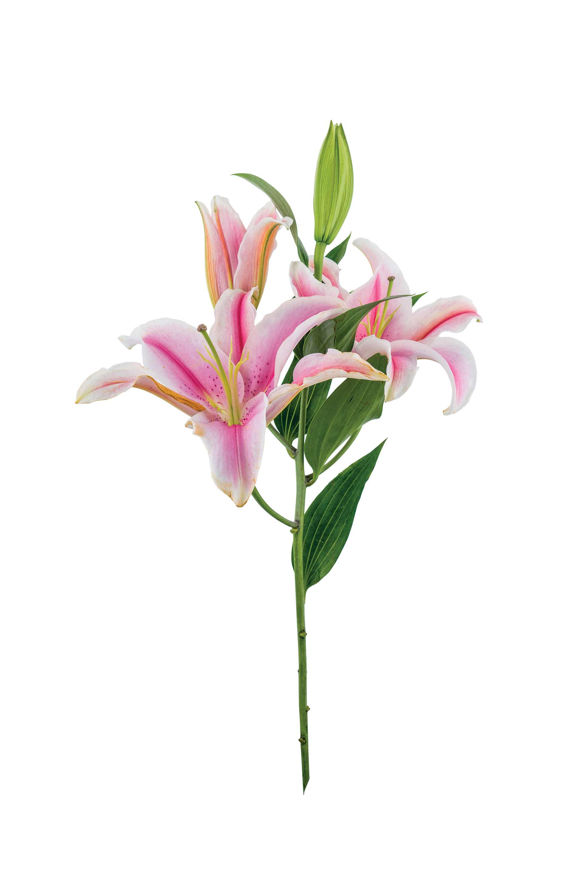 Τι σημαίνει όταν σας κάνει δώρο κάποιος παπούτσια;-4