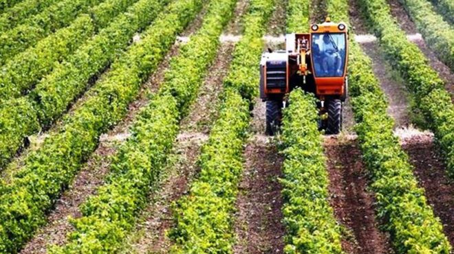 επιστρέφουν-στα-μπλόκα-οι-αγρότες-563374816