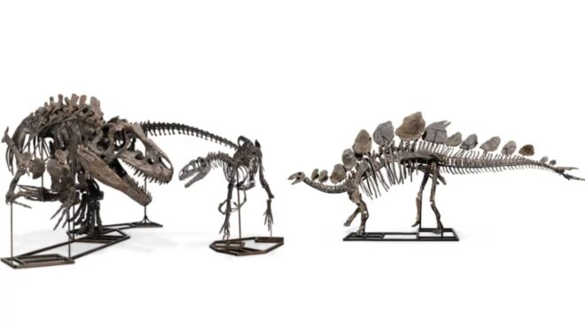 βρετανία-απολιθωμένοι-δεινόσαυροι-β-563368966