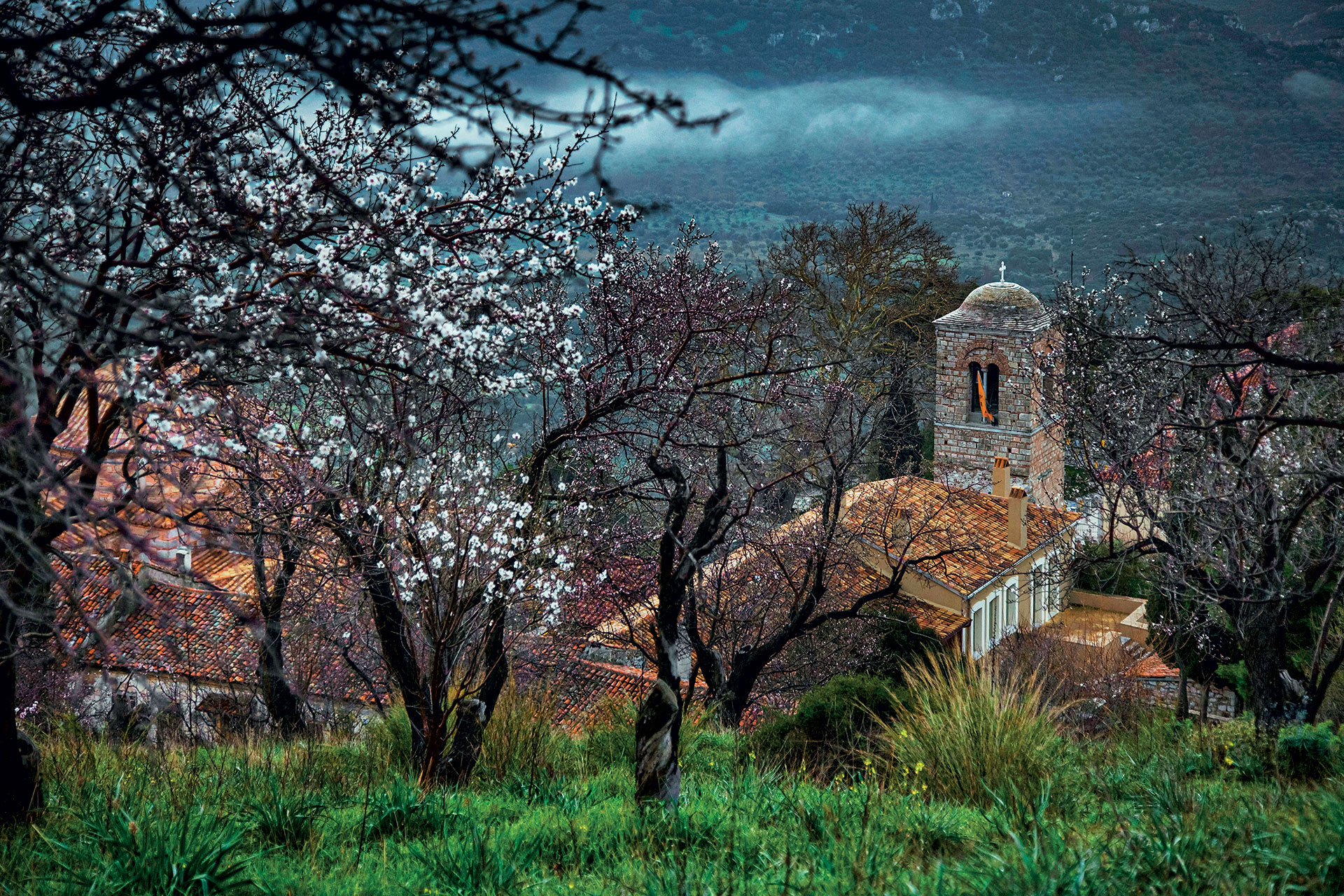Εύβοια ή Βοιωτία για μονοήμερη εκδρομή;-2
