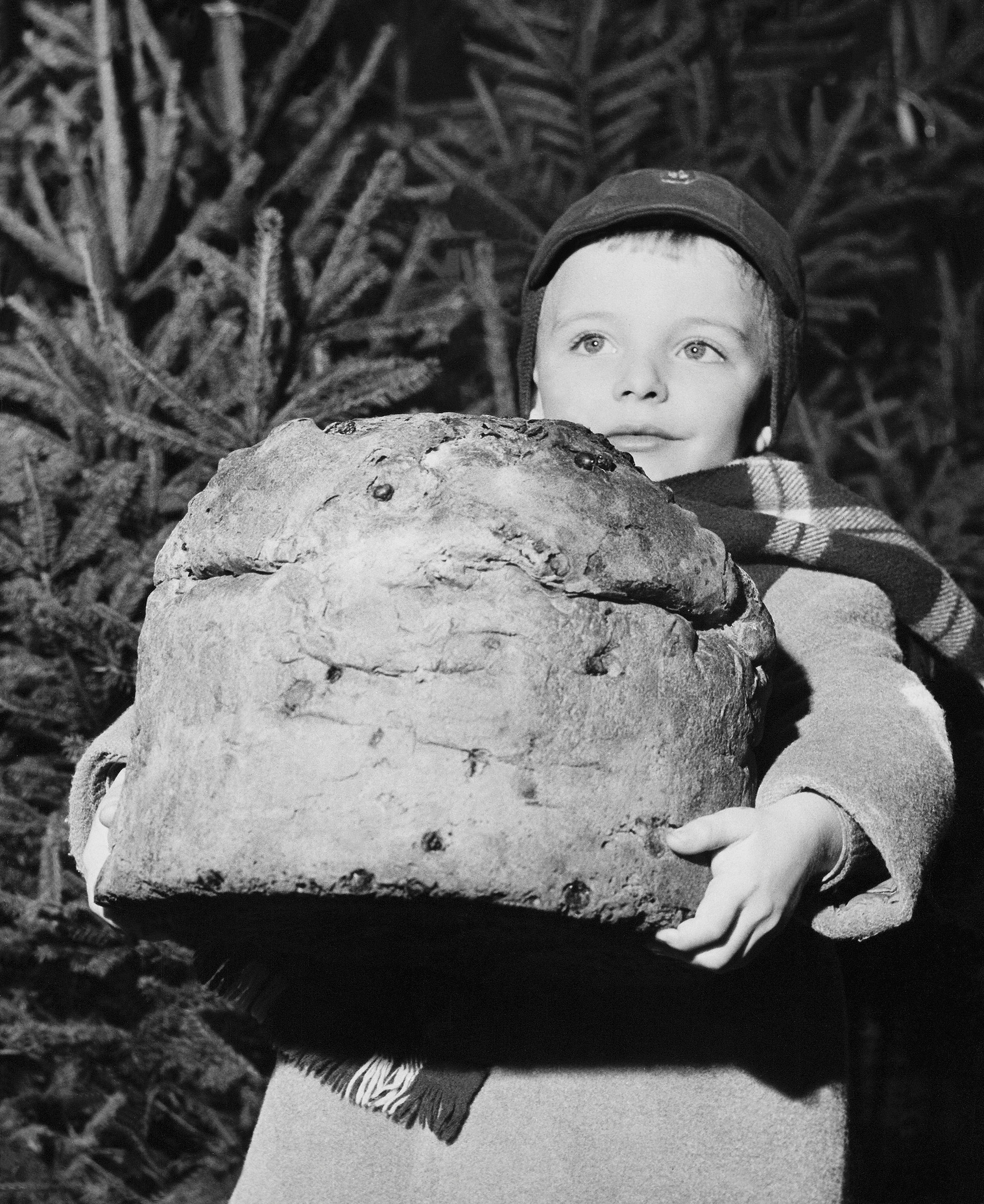 Η ιστορία του πανετόνε, του κέικ που φουσκώνει εδώ και 2000 χρόνια-1