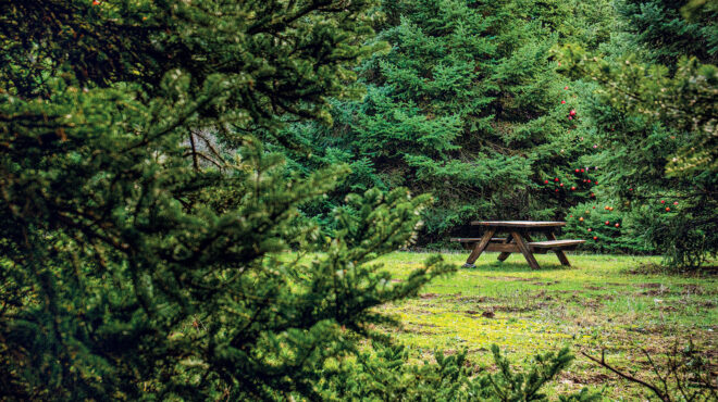 απόδραση-στην-καρδιά-της-πάρνηθας-563390917