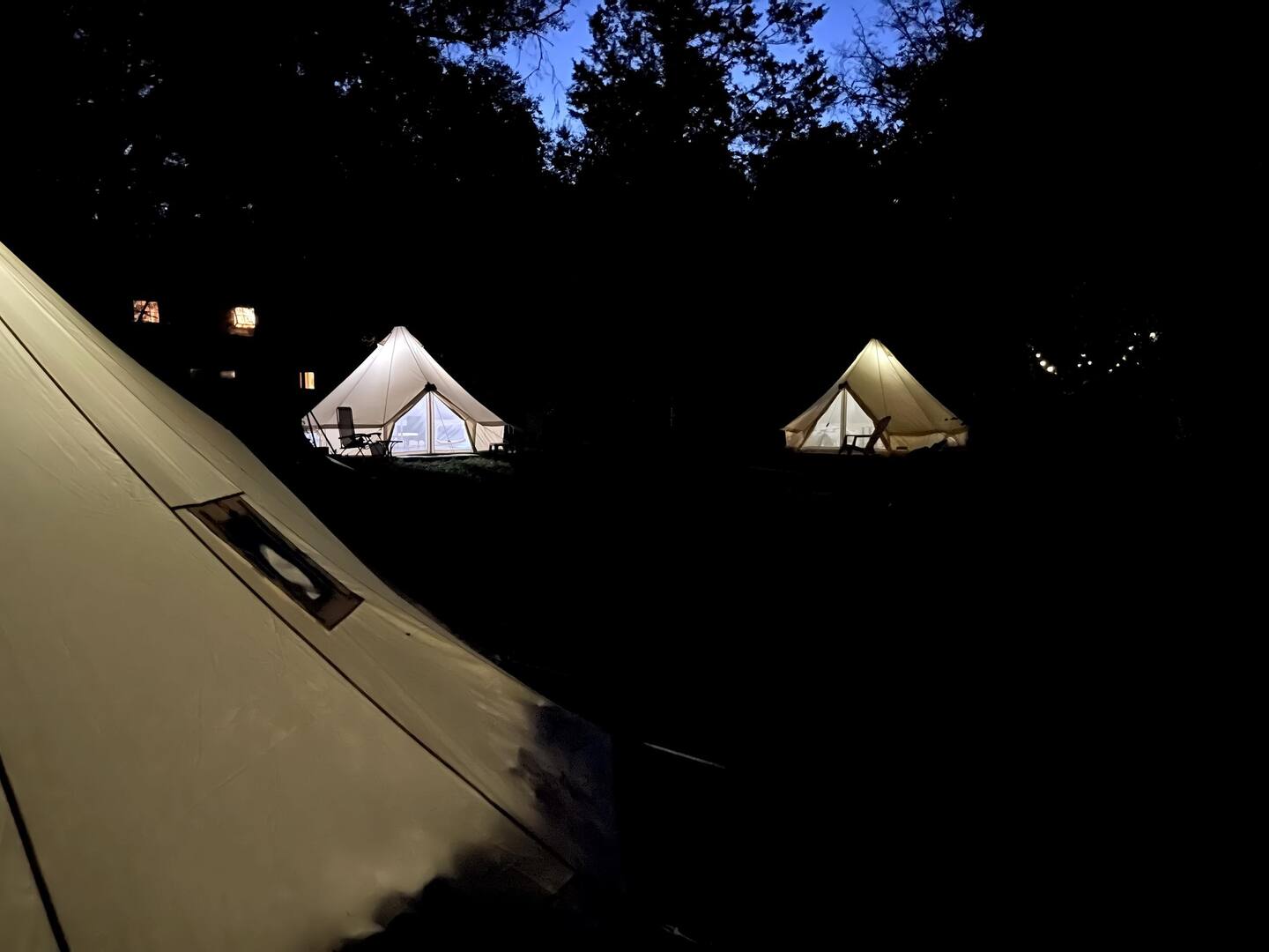 Καταφύγιο για γάτες ή Αirbnb; Και τα δύο-4