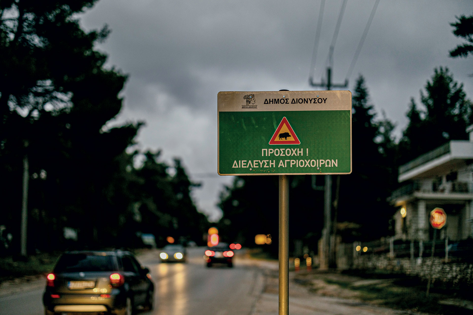 Στις ταβέρνες του Διονύσου, για παραδοσιακό αρνάκι στη γάστρα-3