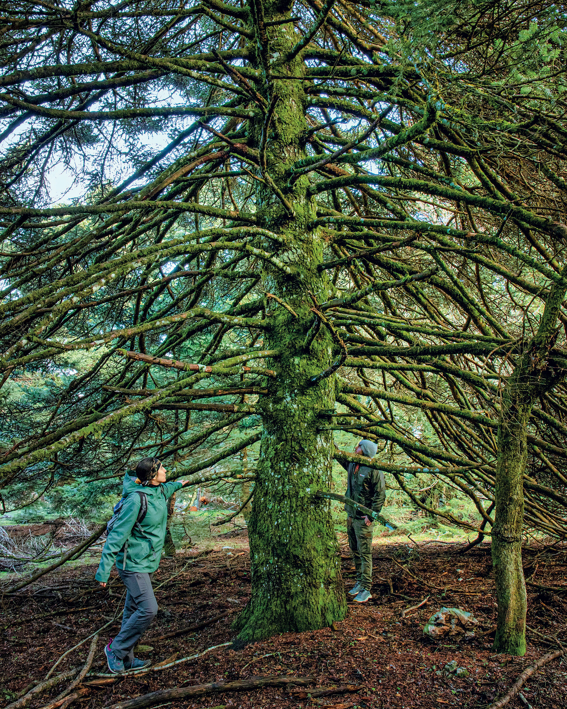 Απόδραση στην καρδιά της Πάρνηθας-5