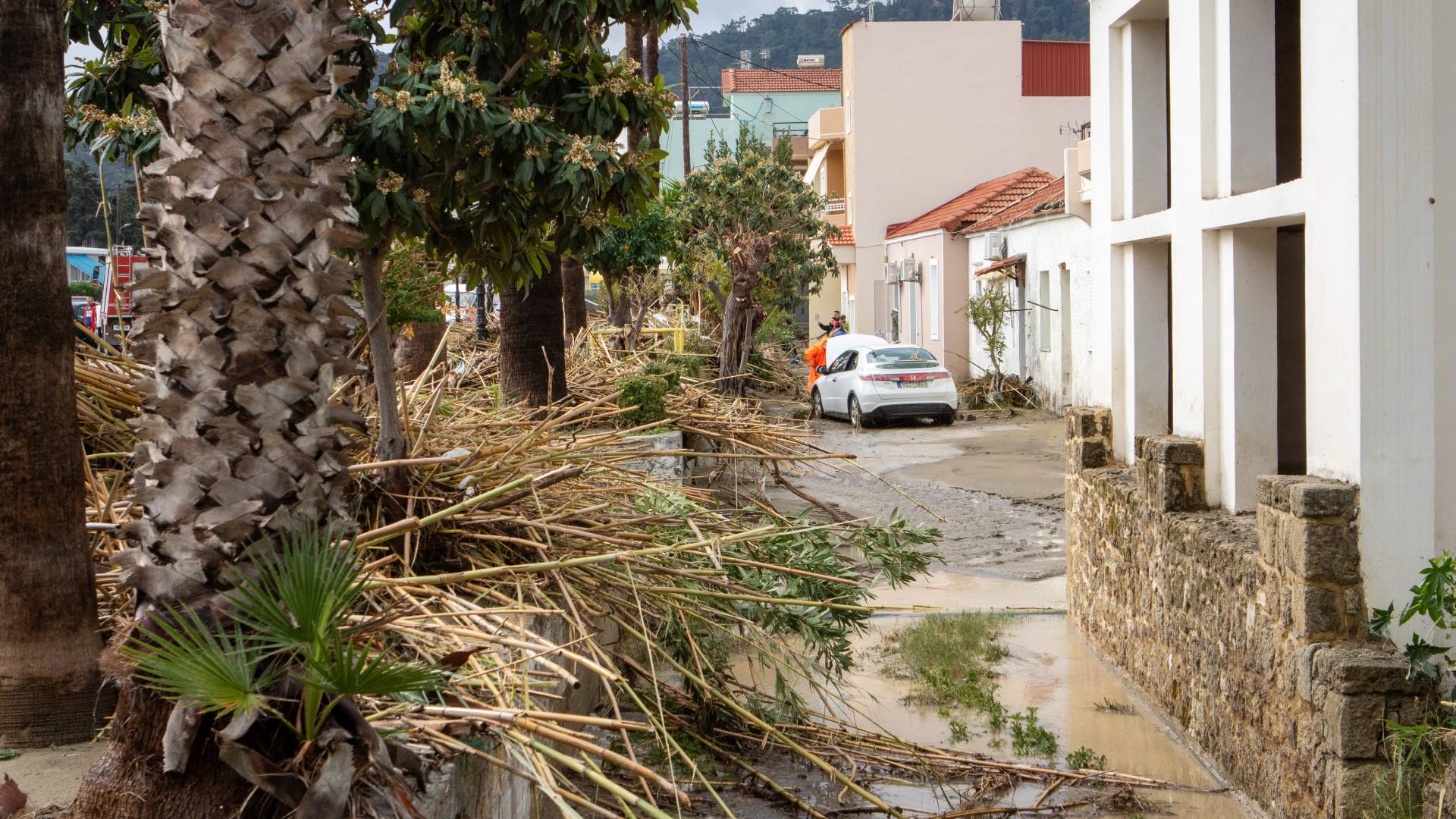 Κακοκαιρία Bora: Μέτρα κρατικής αρωγής για τη στήριξη πληγεισών περιοχών-1