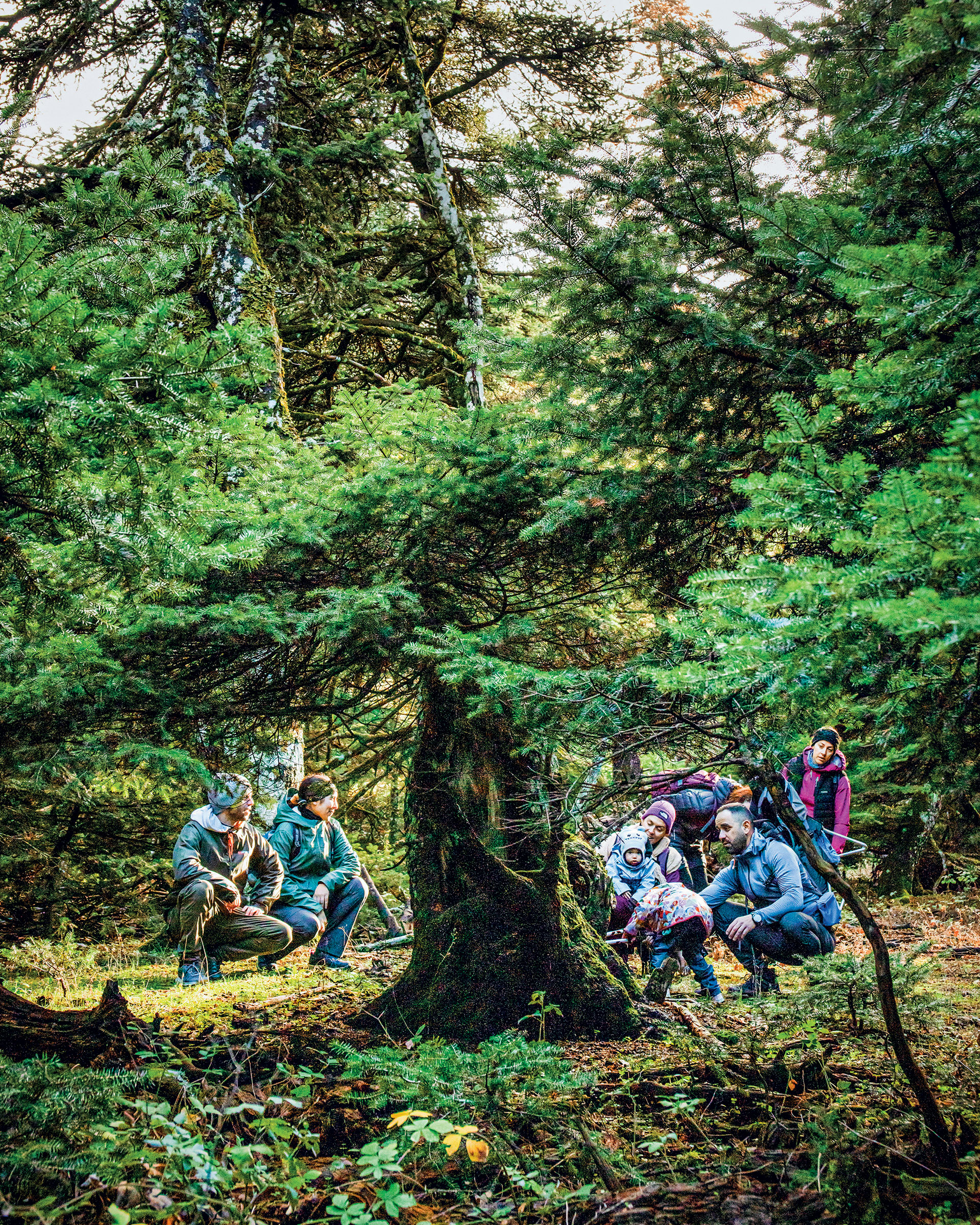Απόδραση στην καρδιά της Πάρνηθας-6