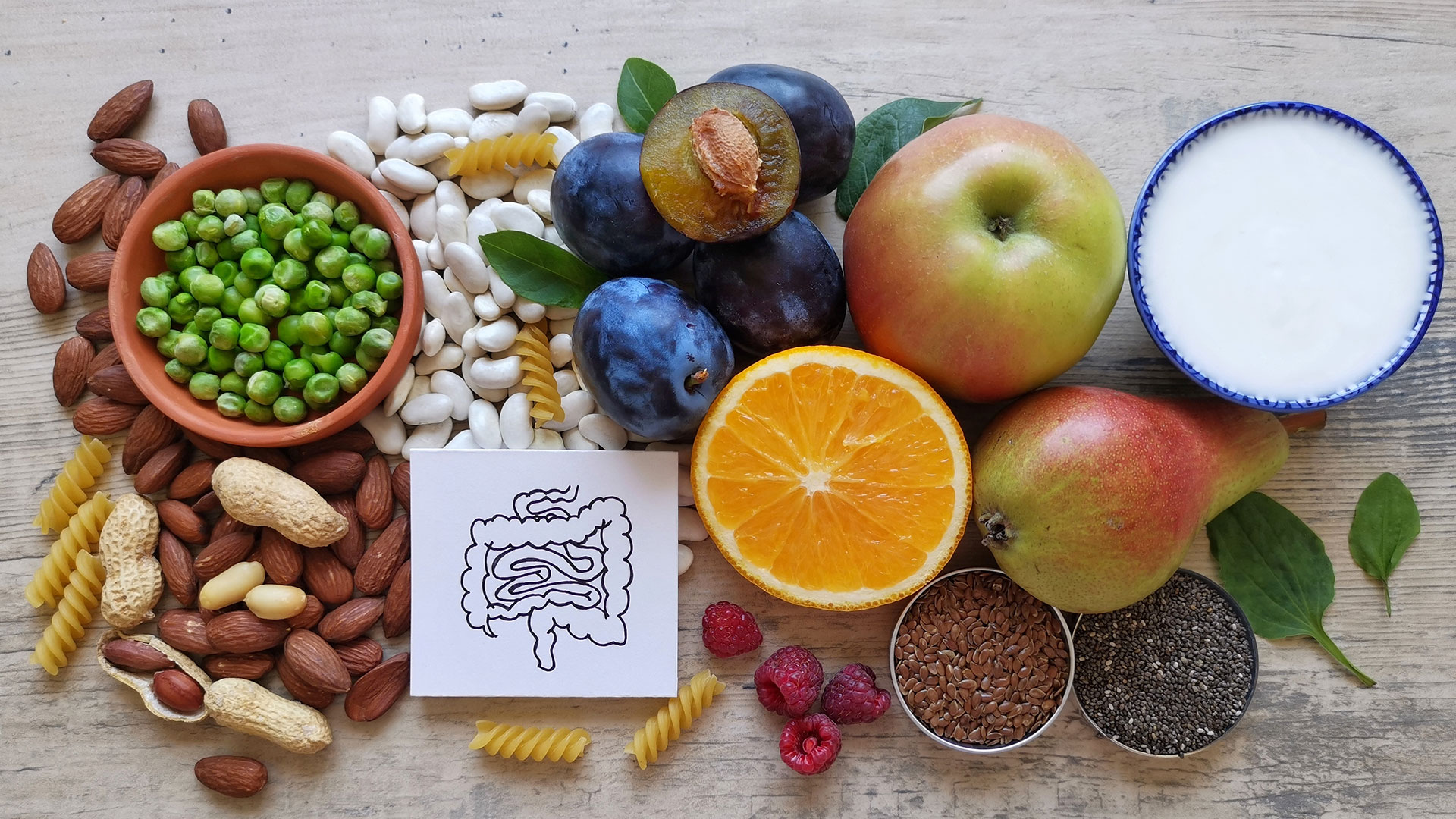 Τα δεδομένα για τις ίνες-1