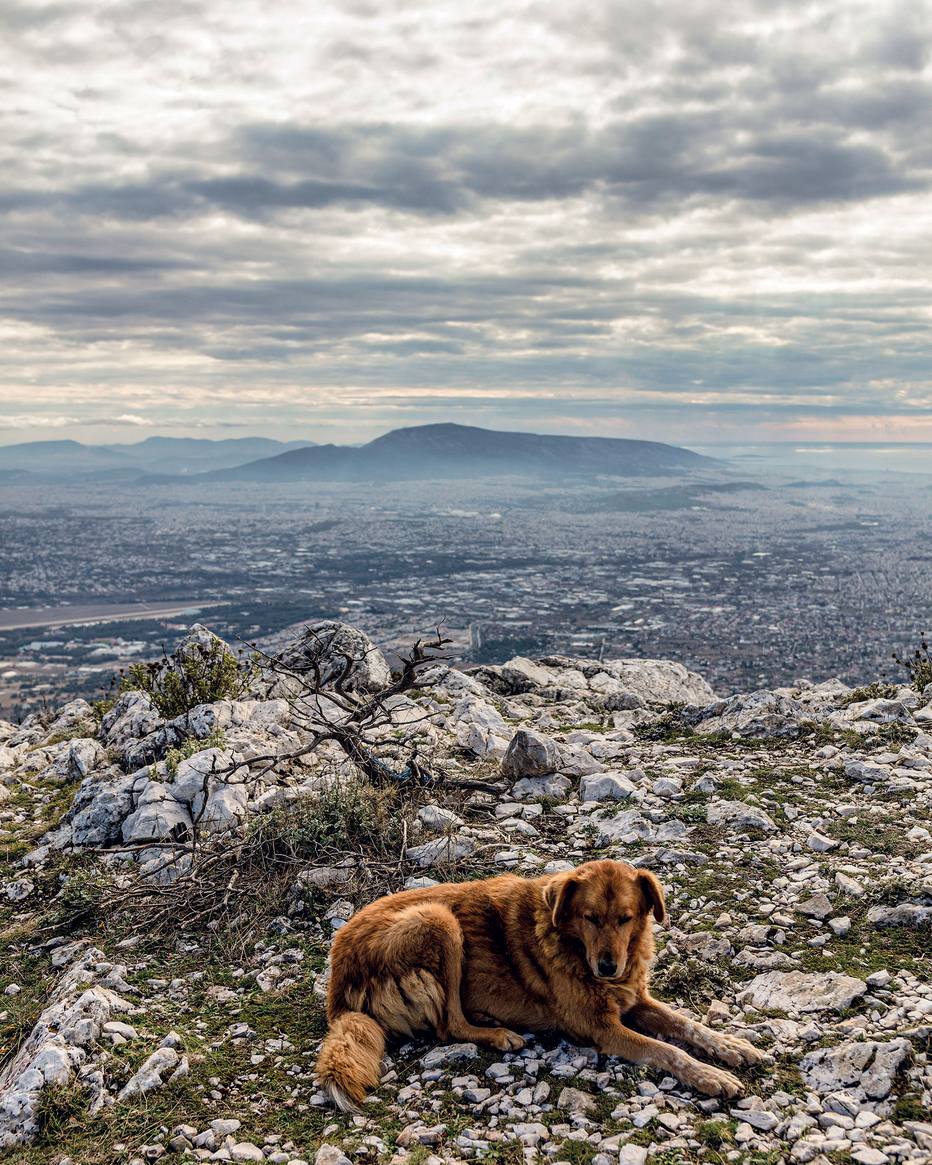 Απόδραση στην καρδιά της Πάρνηθας-8