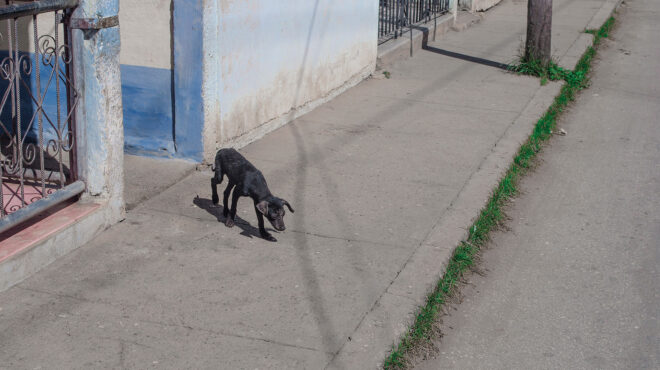 μήπως-χρειαζόμαστε-θεραπεία-του-σοκ-563370889