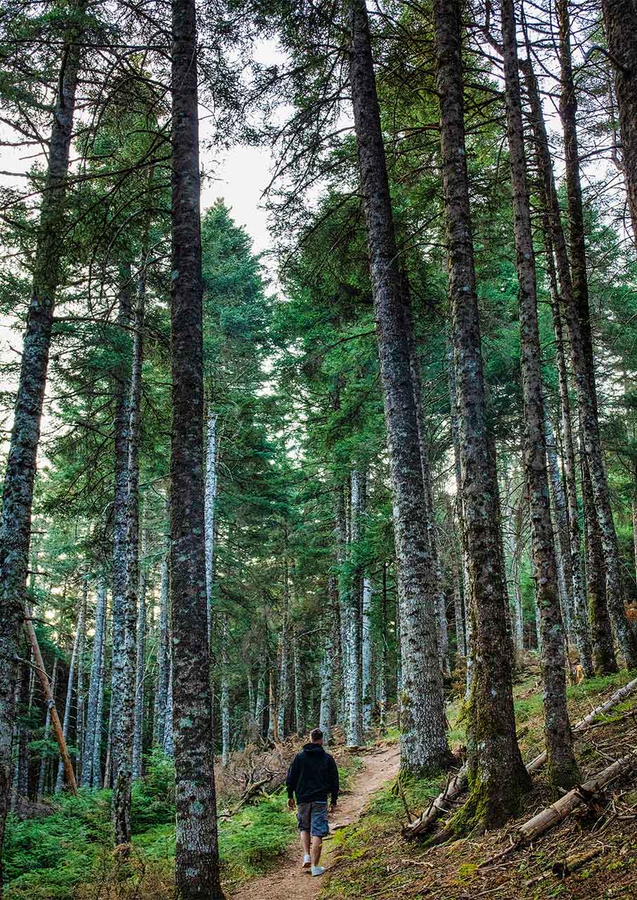 Ανω Χώρα Ναυπακτίας: Ενα χωριό βγαλμένο από άλλη εποχή-6