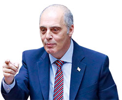 Σπλήνες και έντομα-1