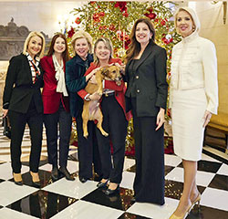 Ο Πίνατ ως έμβιο ντεκόρ-1