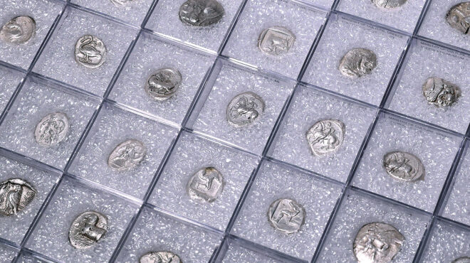 κομίζοντας-γλαύκες-κατασχεμένες-πίσ-563383840