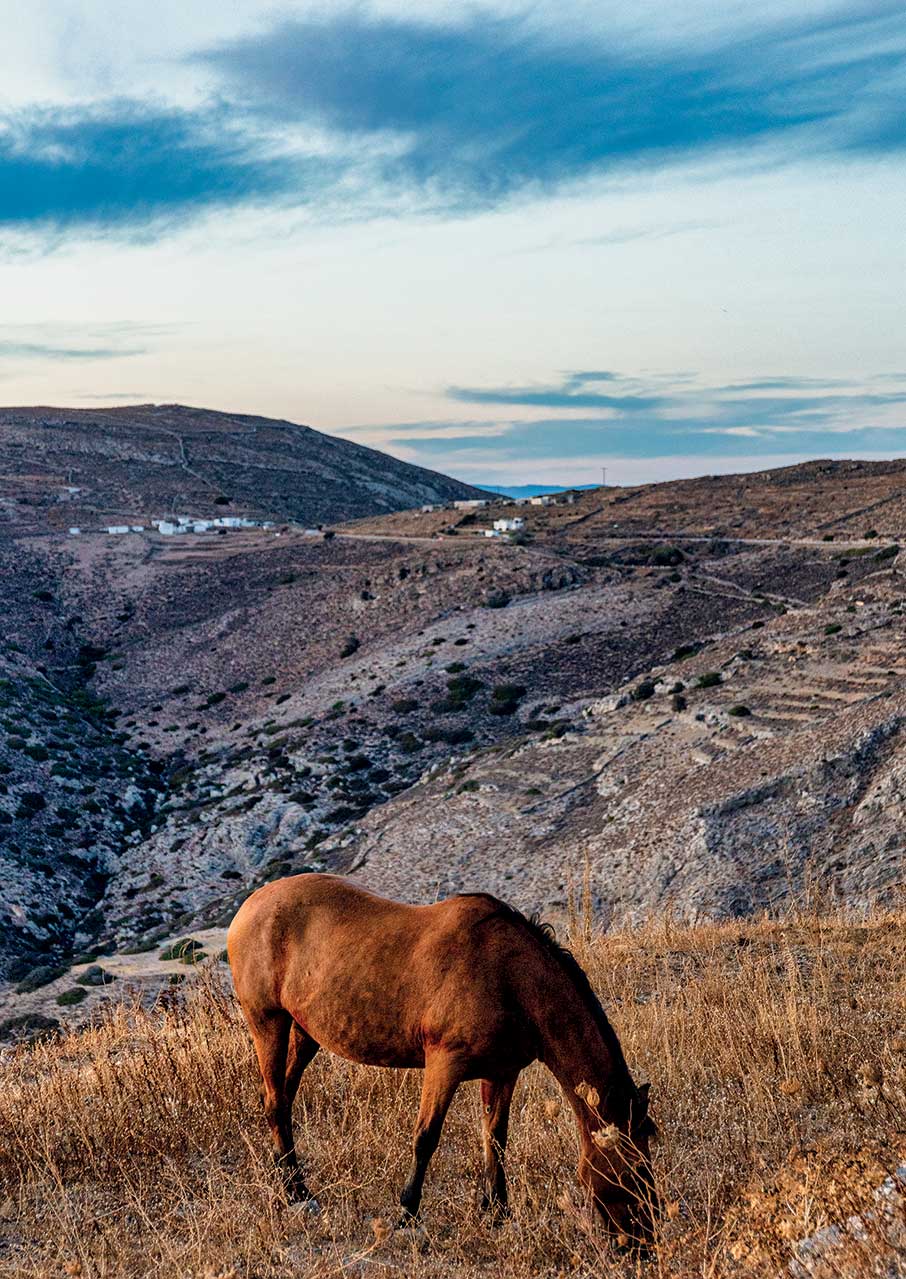 Aπάνω Μεριά: Το άγνωστο μισό της Σύρου-4