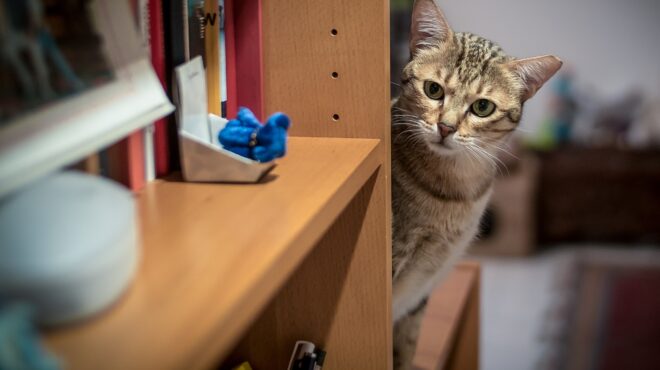 η-ιστορία-του-ζάχου-και-της-λένας-563395204