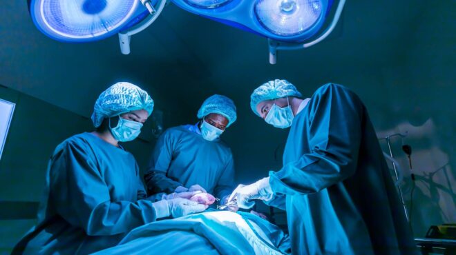 ιταλία-h-πρώτη-μεταμόσχευση-παλλόμεν-563369158