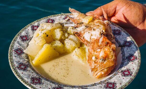 κακαβιά-της-καλύμνου-563365912