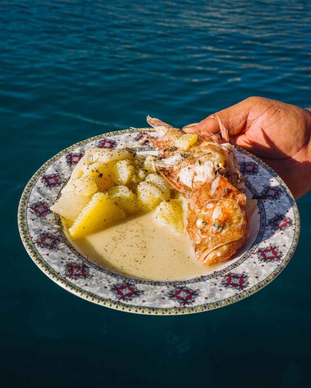 κακαβιά-της-καλύμνου-563365912