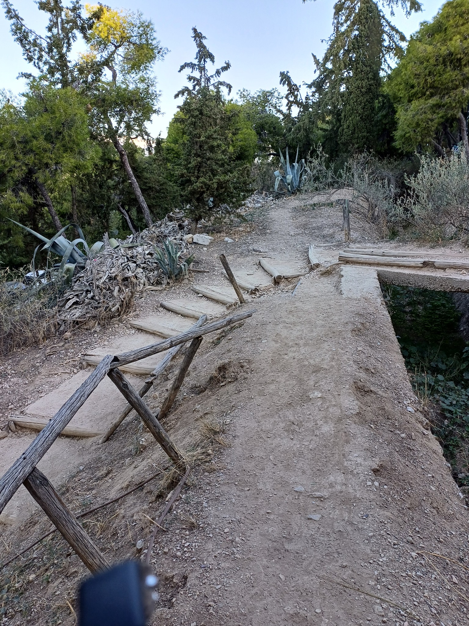 Μία λίμνη 160 τ.μ. και κήποι βροχής στον Λυκαβηττό-3