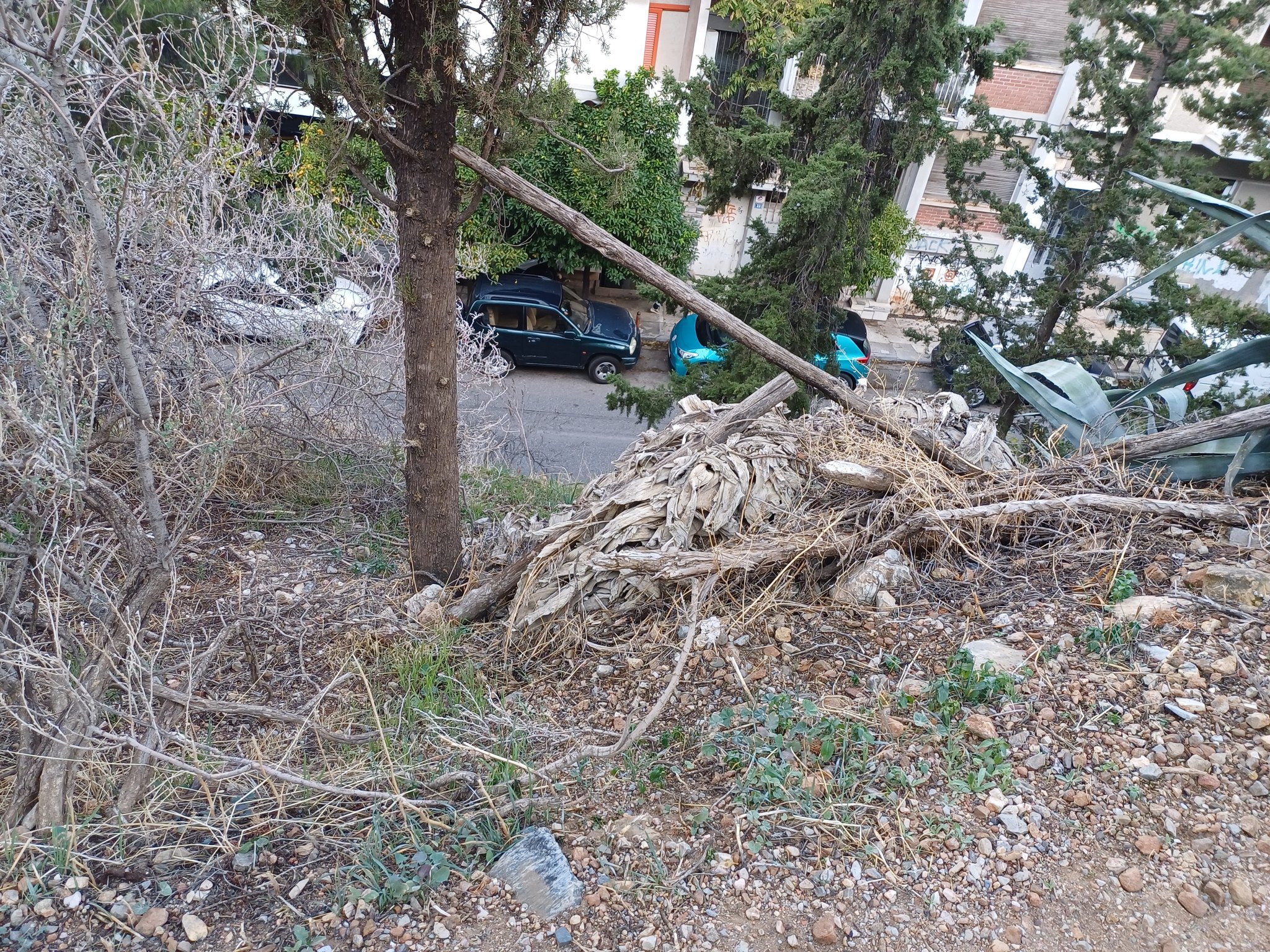 Μία λίμνη 160 τ.μ. και κήποι βροχής στον Λυκαβηττό-4