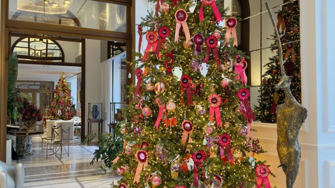 you-deserve-wow-το-the-dolli-φέρνει-τη-μαγεία-των-γιορτών-σ-563360131