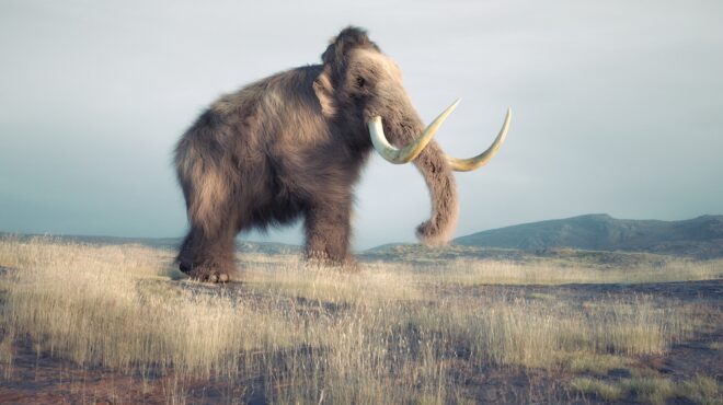 τα-μαμούθ-στο-καθημερινό-μενού-της-ε-563356501