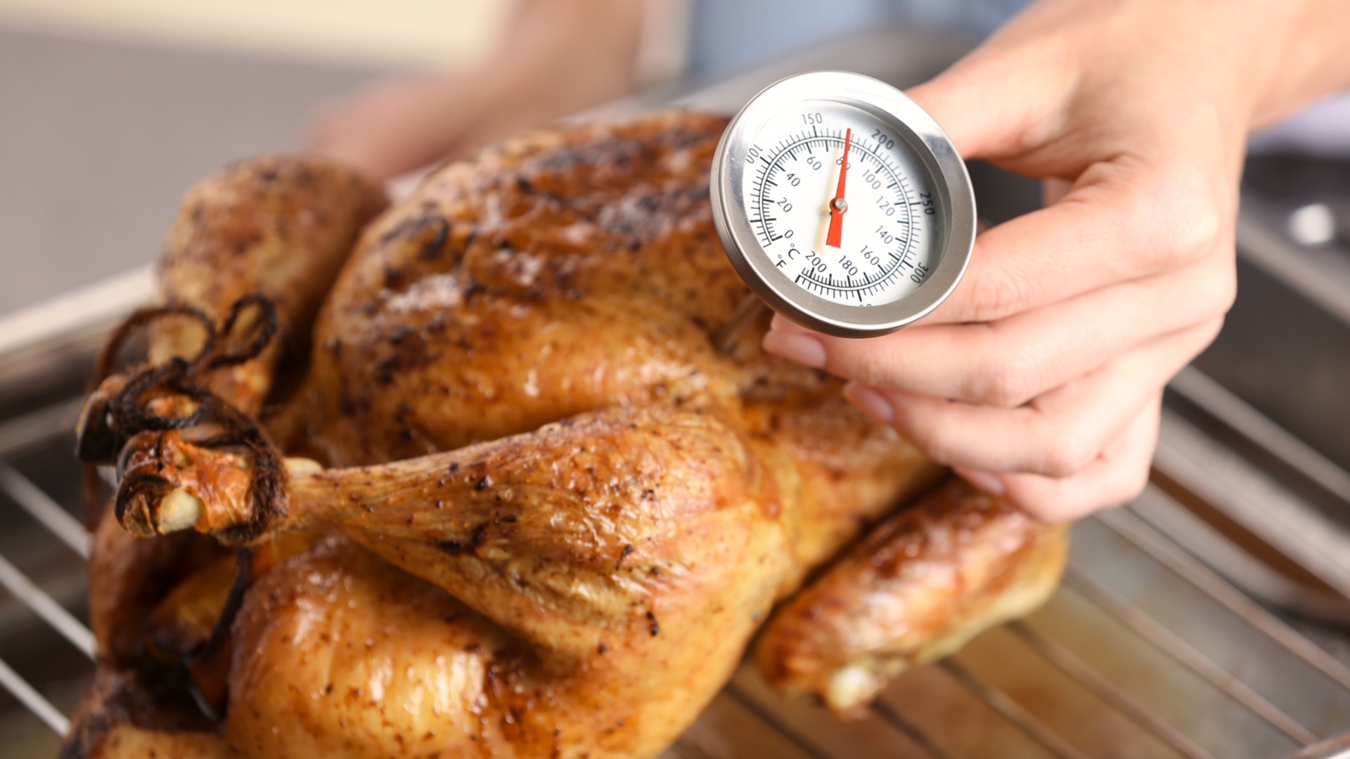 Γαλοπούλα: οι 10 καλύτερες συνταγές του Γαστρονόμου-3