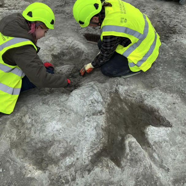 ανακαλύφθηκε-η-λεωφόρος-των-δεινοσ-563399440