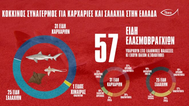 ψαράδες-αντιμέτωποι-με-τη-γραφειοκρα-563422735