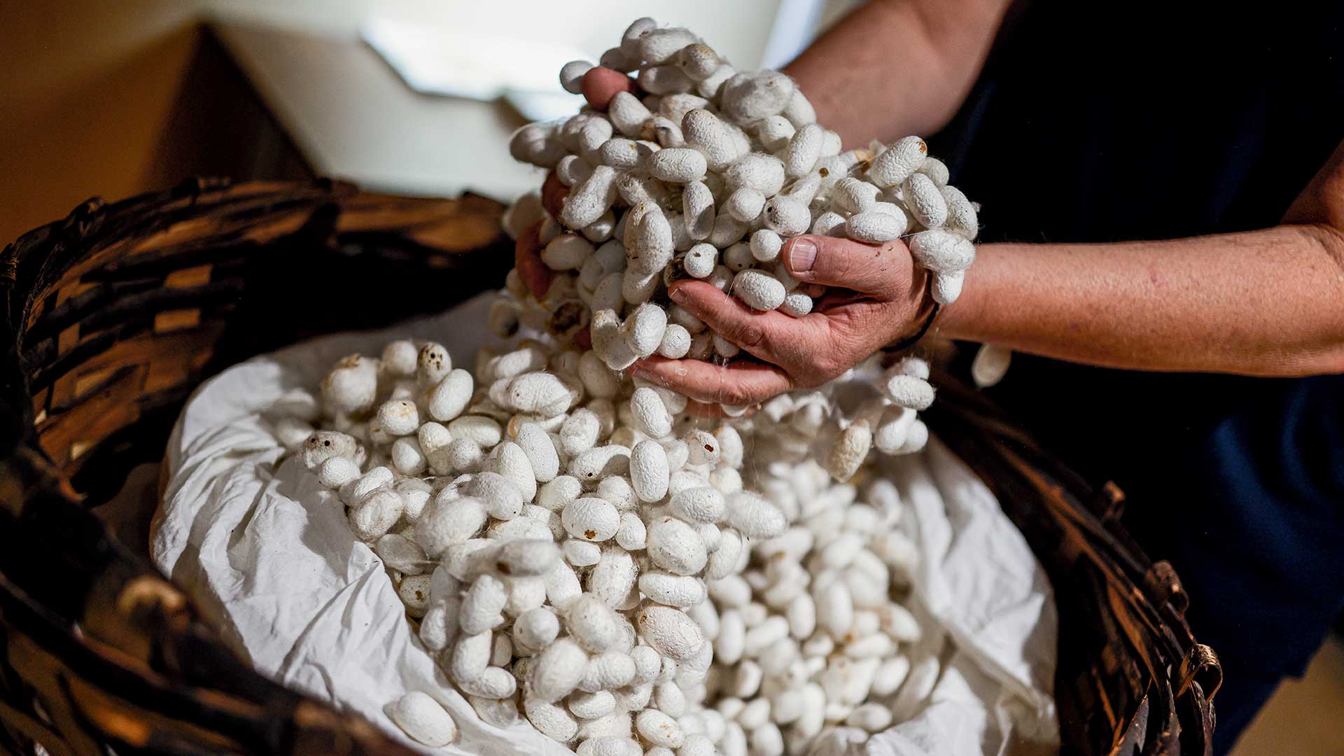 Τρεις πόλεις του Έβρου ζωντανεύουν το παρελθόν και χτίζουν το μέλλον-7