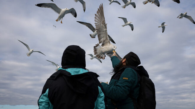 από-τον-πόλεμο-στον-αθω-563401261