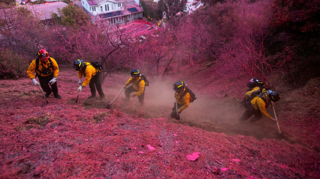 ροζ-το-πυρόπληκτο-λος-αντζελες-τι-563416243