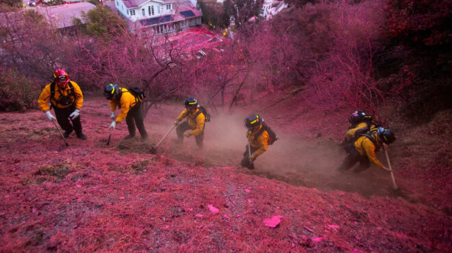 ροζ-το-πυρόπληκτο-λος-αντζελες-τι-563416243
