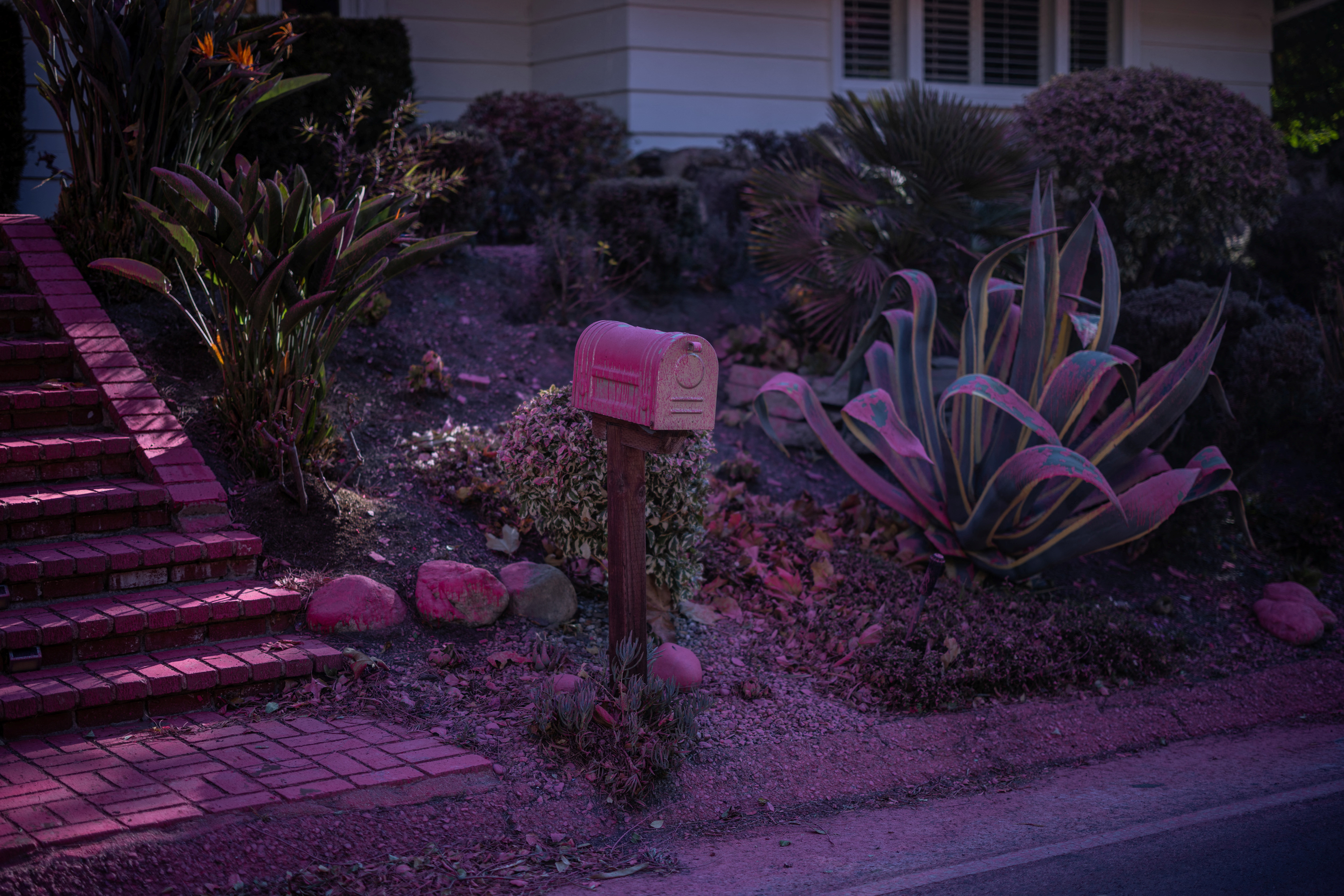 «Ροζ» το πυρόπληκτο Λος Αντζελες – Τι είναι η αντιπυρική σκόνη που χρησιμοποιήθηκε στη μάχη με τις φλόγες-4