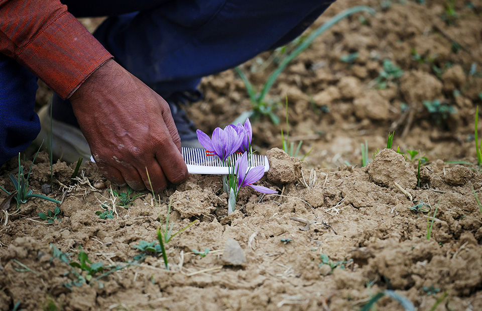Εμπειρία ήχου-1