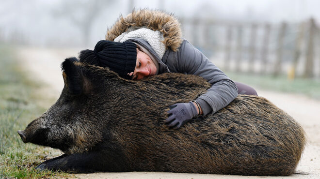 νομική-διαμάχη-για-την-rillette-563420824