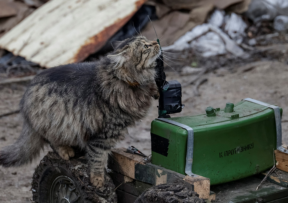 Νομική διαμάχη για την Rillette-1