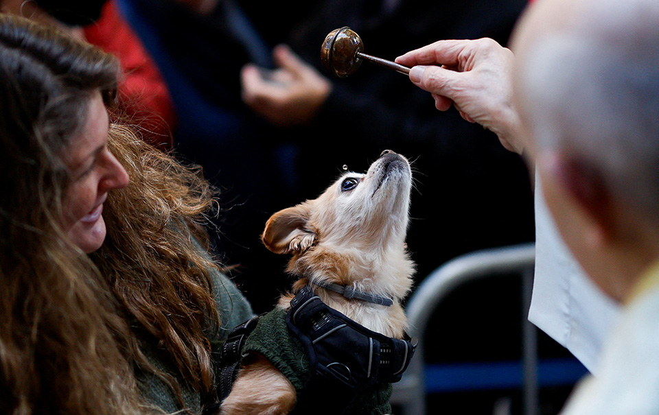Του Αγίου Αντωνίου-1
