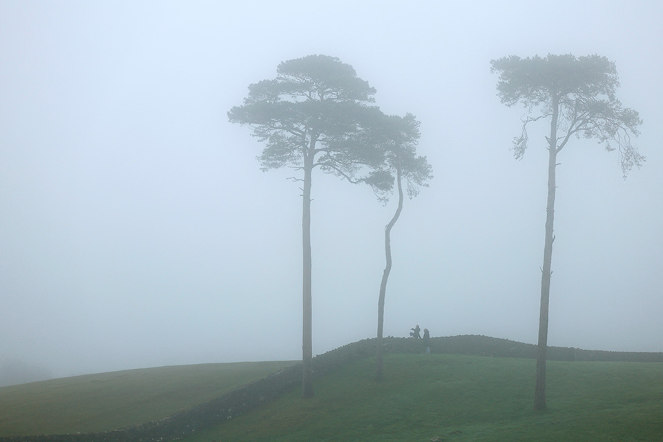 Πανέτοιμοι για το νέο έτος-1