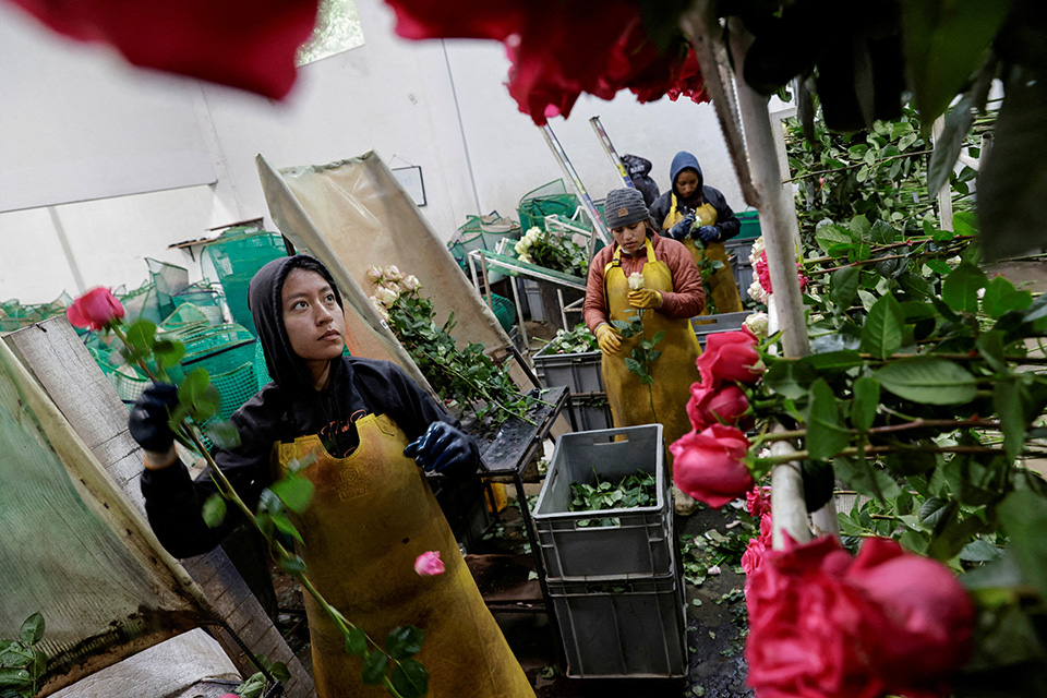 Η καταιγίδα Eowyn-4