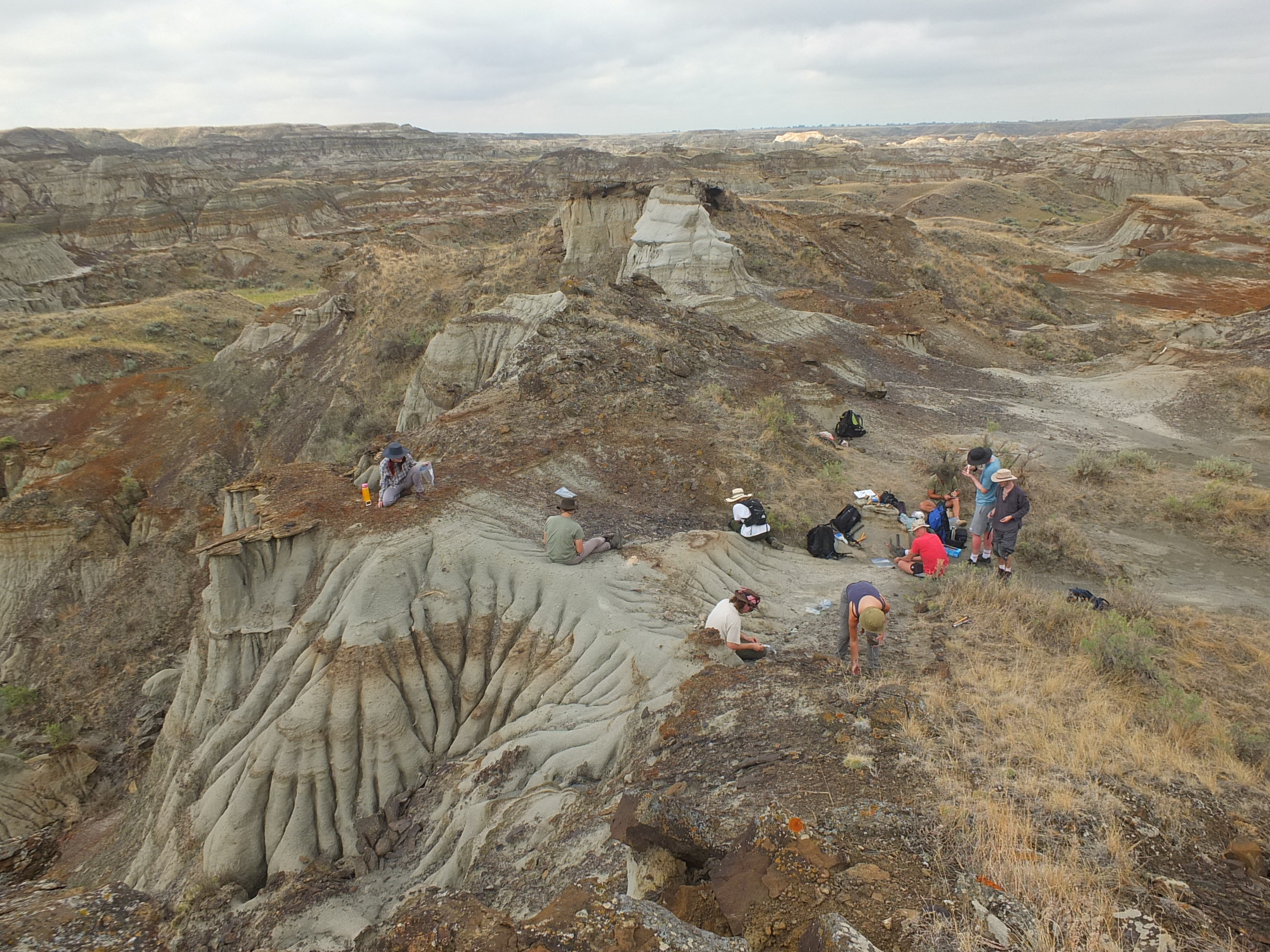 Ενα απολίθωμα 76 εκατ. χρόνων, «μάρτυρας» ενός… θρίλερ της Κρητιδικής περιόδου-2