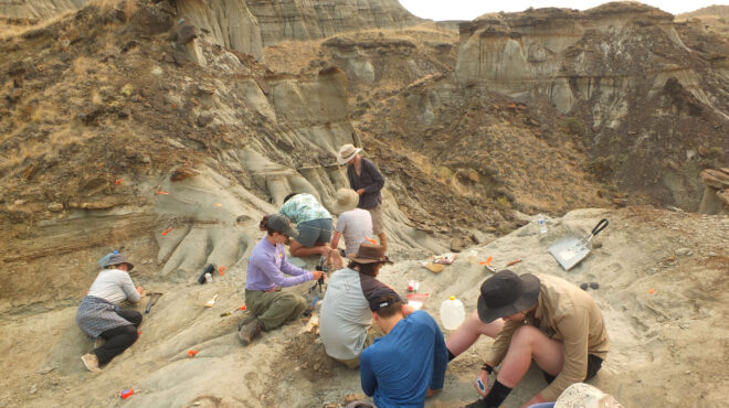 ενα-απολίθωμα-76-εκατ-χρόνων-μάρτυρας-563433832