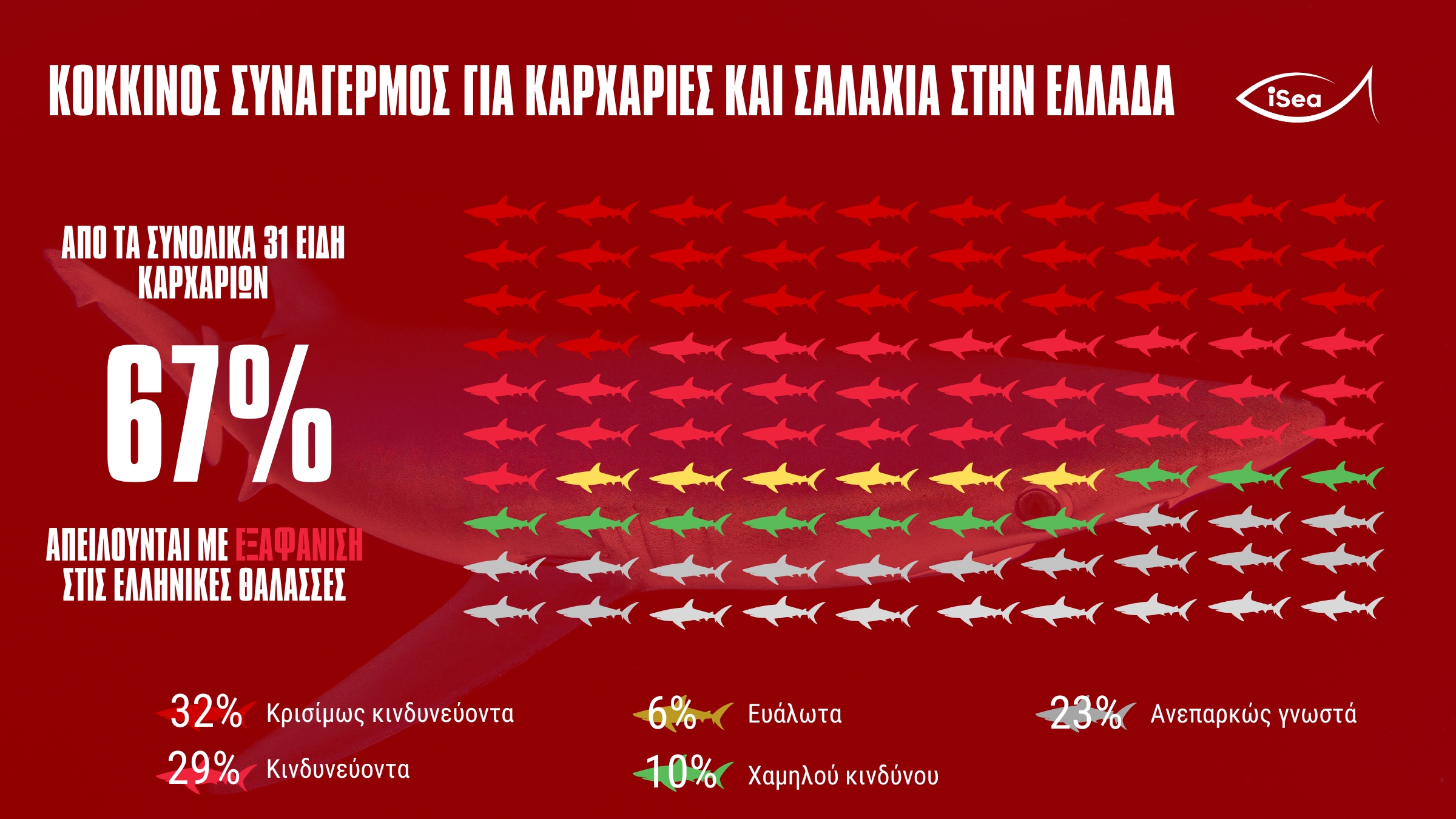 Οι άγνωστοι καρχαρίες των ελληνικών θαλασσών-2
